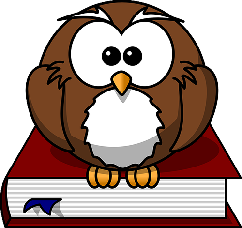 A cartoon owl sitting on book.